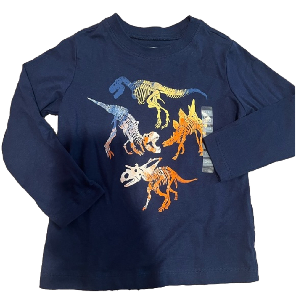 Carters dinosaur long sleeve Top blue size 24 months - Picture 1 of 2